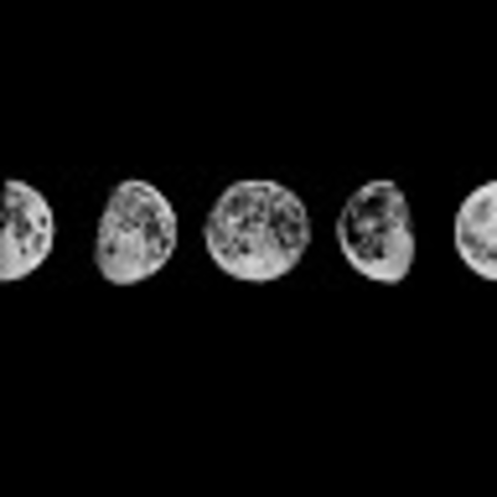 Meet your Posher, Naomi